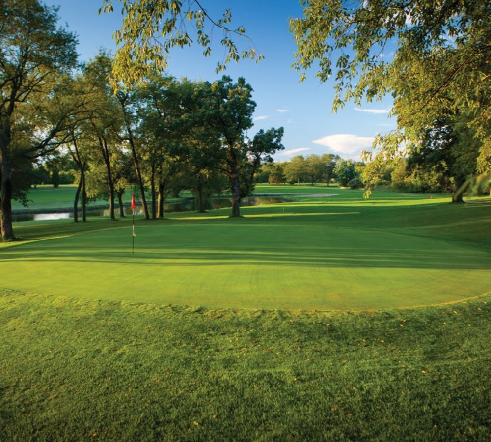 480998498 1152262336893082 7922209635076521165 n (1) (1) 480998498 1152262336893082 7922209635076521165 n (1) (1)