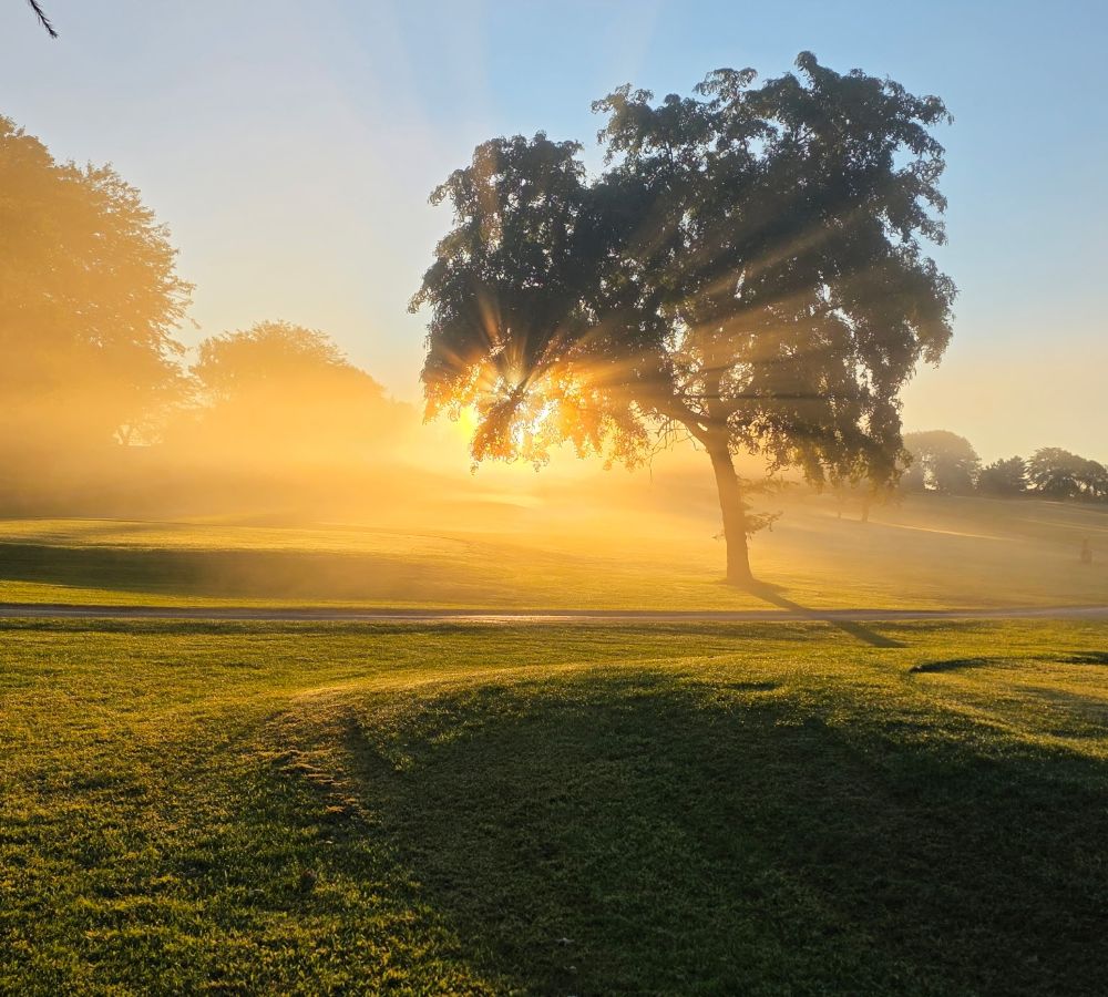 548195065 1329933839125930 3947110647207531818 n (1) 548195065 1329933839125930 3947110647207531818 n (1)