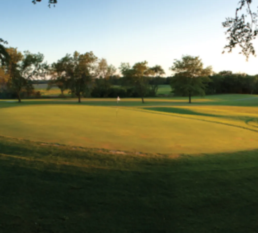 Coachmans 911 319 600x287 1 (1)