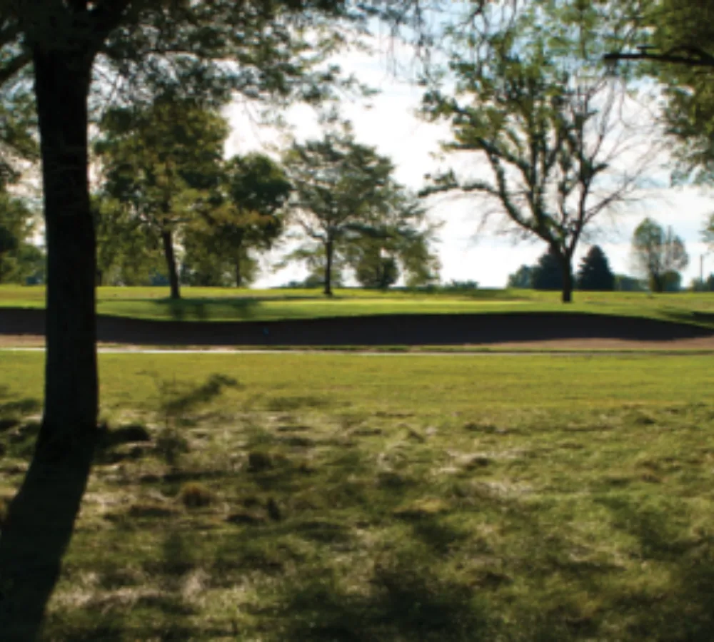 Coachmans 911 477 600x262 1 (1)